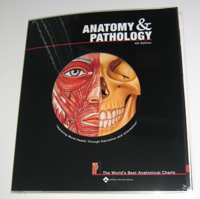 Anatomy And Pathology The World S Best Anatomical Charts