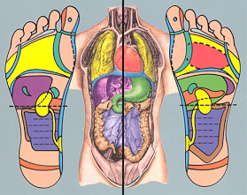 Ingham Method Reflexology Charts