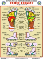 Ingham Method Reflexology Charts