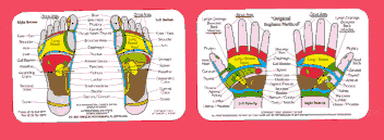 Ingham Method Reflexology Charts